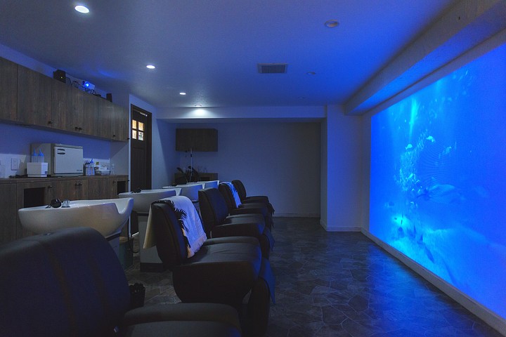offer image 3