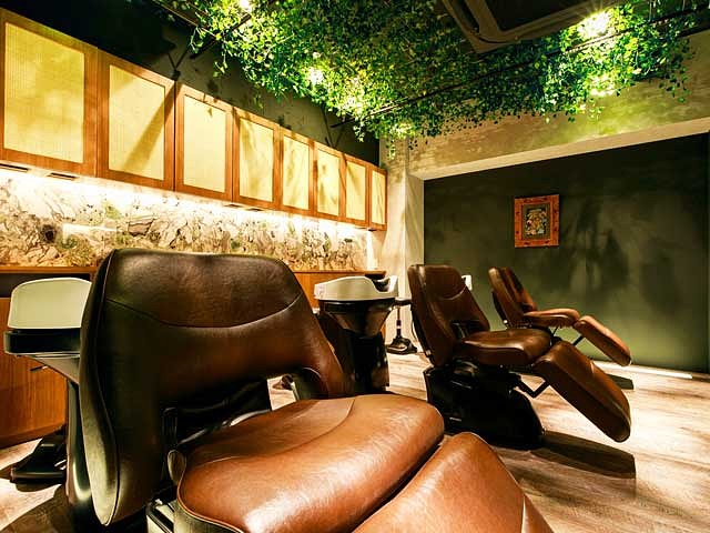 offer image 2