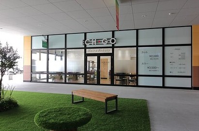 offer image 2