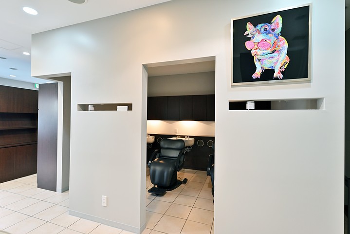 offer image 3