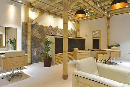 offer image 0