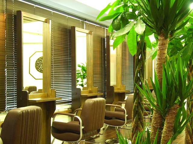 offer image 1