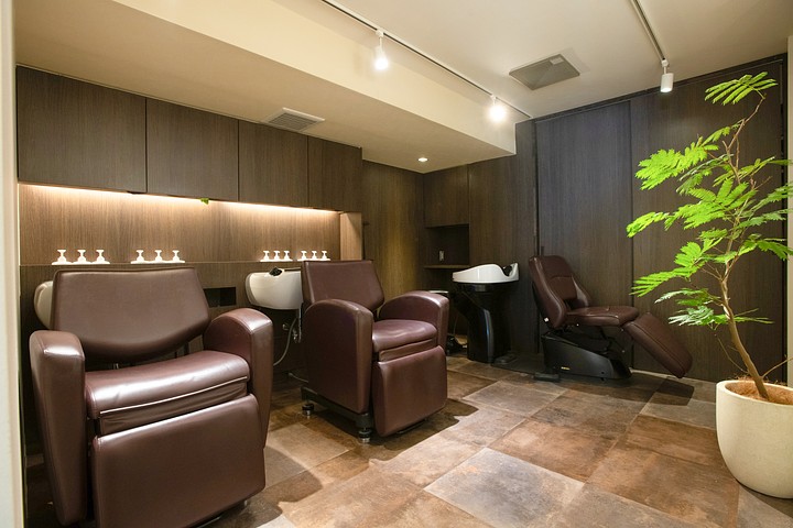 offer image 4